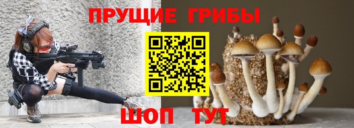 Псилоцибиновые грибы Psilocybine cubensis Белая Калитва